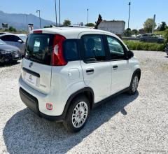 Auto - Fiat panda 1.0 firefly s&s hybrid