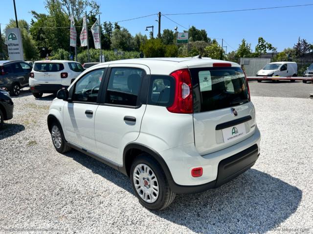 Auto - Fiat panda 1.0 firefly s&s hybrid