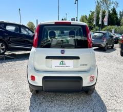 Auto - Fiat panda 1.0 firefly s&s hybrid