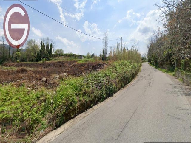 Appartamenti in Vendita - Terreno industriale in vendita a cinquefrondi zona semicentrale