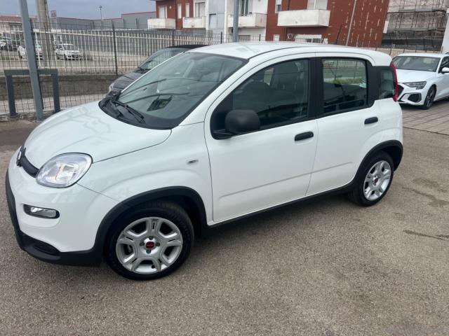 Auto - Fiat panda 1.0 firefly s&s hybrid