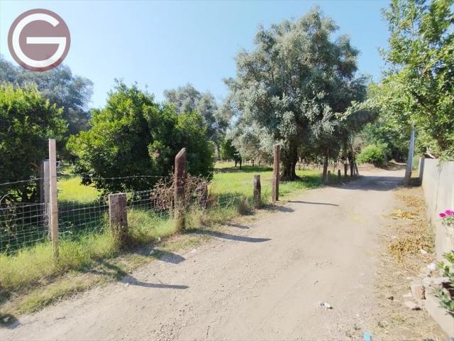 Appartamenti in Vendita - Terreno agricolo in vendita a taurianova periferia