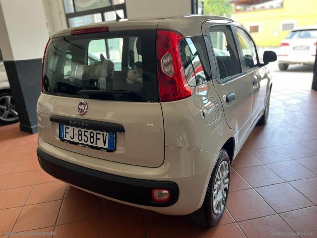 Auto - Fiat panda 1.2 pop