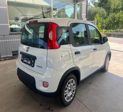 Auto - Fiat panda 1.0 firefly s&s hybrid