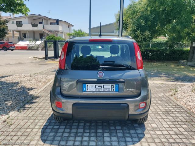 Auto - Fiat panda 1.0 firefly s&s hybrid city life