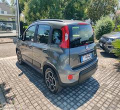 Auto - Fiat panda 1.0 firefly s&s hybrid city life