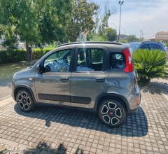 Auto - Fiat panda 1.0 firefly s&s hybrid city life