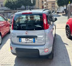 Auto - Fiat panda 1.0 firefly s&s hybrid city life