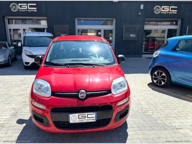 Auto - Fiat panda 1.0 firefly s&s hybrid city life