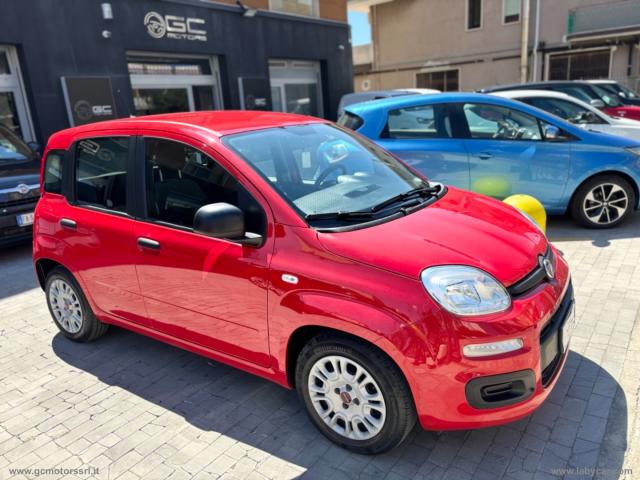 Auto - Fiat panda 1.0 firefly s&s hybrid city life