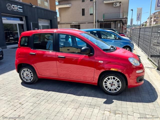 Auto - Fiat panda 1.0 firefly s&s hybrid city life