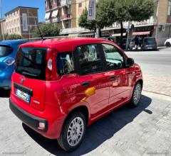 Auto - Fiat panda 1.0 firefly s&s hybrid city life