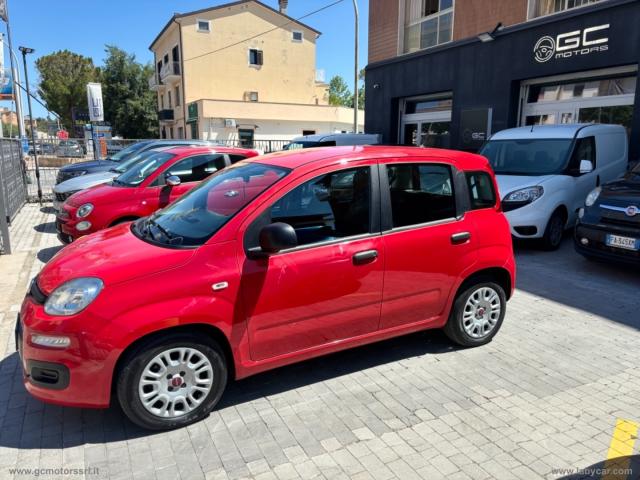 Auto - Fiat panda 1.0 firefly s&s hybrid city life