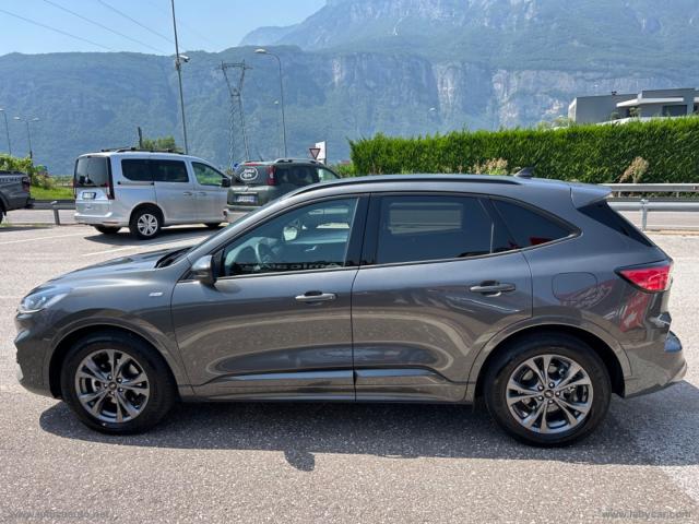 Auto - Ford kuga 1.5 ecoblue 120 cv 2wd st-line