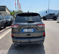 Auto - Ford kuga 1.5 ecoblue 120 cv 2wd st-line