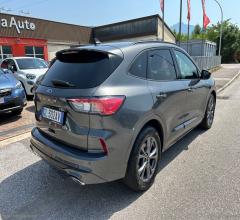 Auto - Ford kuga 1.5 ecoblue 120 cv 2wd st-line