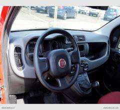 Auto - Fiat panda 1.3 mjt s&s pop van 2 posti