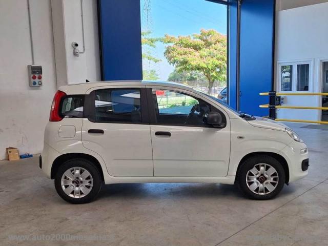 Auto - Fiat panda 1.3 mjt 80 cv s&s easy van 4 posti