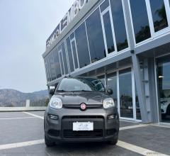 Auto - Fiat panda 1.0 firefly s&s hybrid city life