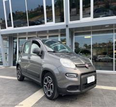 Auto - Fiat panda 1.0 firefly s&s hybrid city life