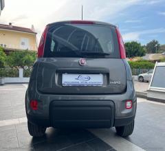 Auto - Fiat panda 1.0 firefly s&s hybrid city life