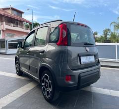 Auto - Fiat panda 1.0 firefly s&s hybrid city life