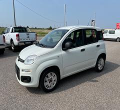 Auto - Fiat panda 1.3 mjt s&s easy van 4 posti