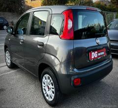 Auto - Fiat panda 1.2 easy