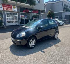 Auto - Fiat punto 1.2 8v 5p. street