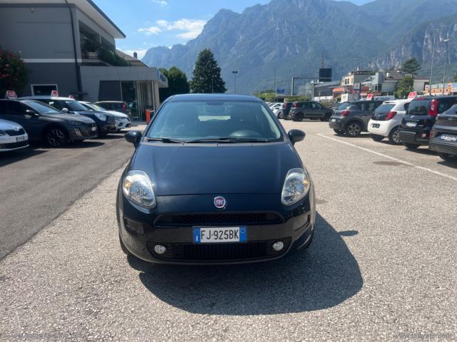 Auto - Fiat punto 1.2 8v 5p. street