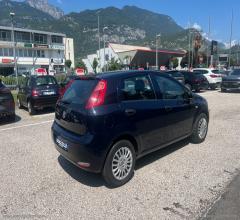 Auto - Fiat punto 1.2 8v 5p. street