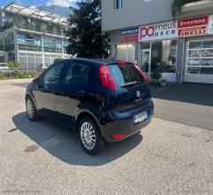 Auto - Fiat punto 1.2 8v 5p. street