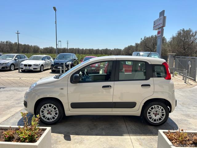 Auto - Fiat panda 1.2 easy