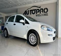 Auto - Fiat punto 1.3 mjt ii 75 cv 5p. street