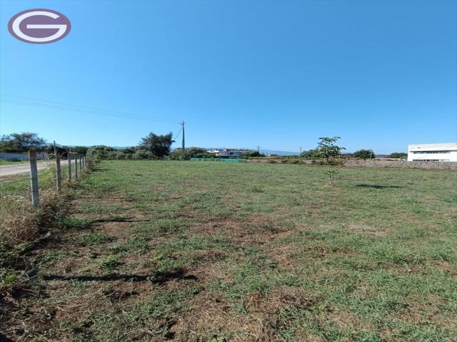 Appartamenti in Vendita - Terreno agricolo in vendita a taurianova semicentrale