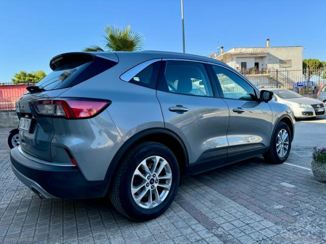 Auto - Ford kuga 1.5 ecoblue 120 cv aut. 2wd tit.bus