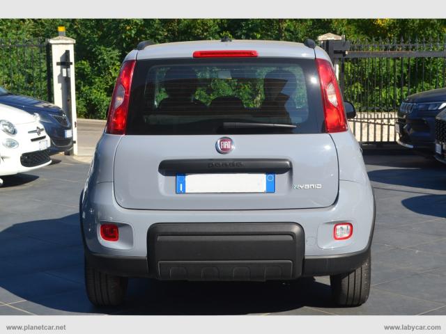 Auto - Fiat panda 1.0 firefly s&s hybrid city life