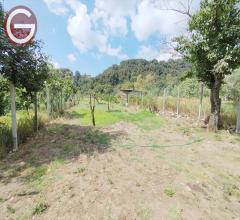 Appartamenti in Vendita - Terreno agricolo in vendita a cittanova periferia