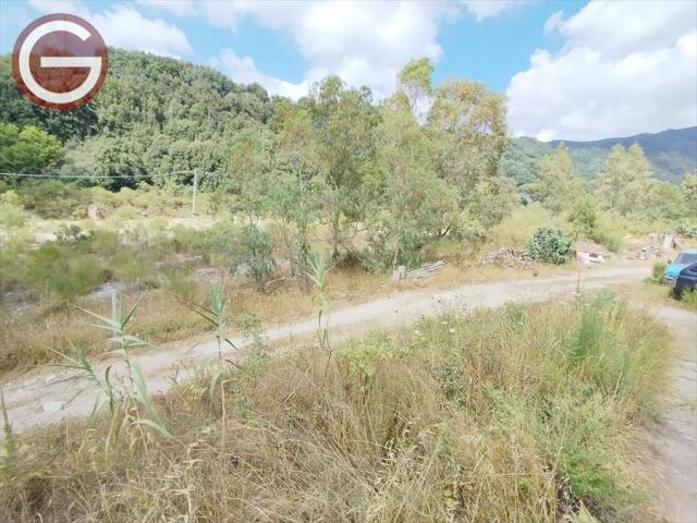 Appartamenti in Vendita - Terreno agricolo in vendita a cittanova periferia