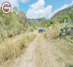 Appartamenti in Vendita - Terreno agricolo in vendita a cittanova periferia