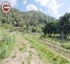 Appartamenti in Vendita - Terreno agricolo in vendita a cittanova periferia