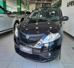 Auto - Lancia ypsilon 1.2 69 cv 5p. gold