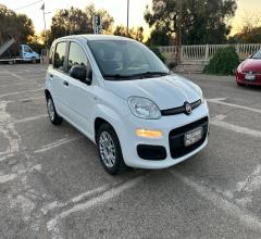 Auto - Fiat panda 1.2 lounge