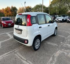 Auto - Fiat panda 1.2 lounge