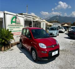 Auto - Fiat panda my24 1.0 70cv hybrid