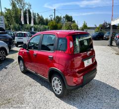 Auto - Fiat panda my24 1.0 70cv hybrid