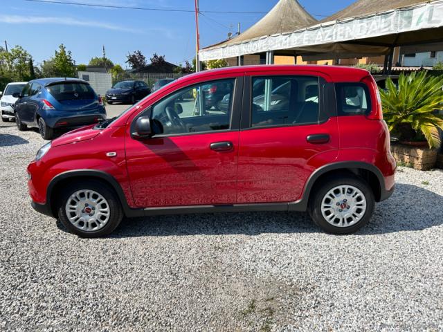 Auto - Fiat panda my24 1.0 70cv hybrid