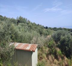 Appartamenti in Vendita - Terreno residenziale in vendita a silvi prima fascia collinare