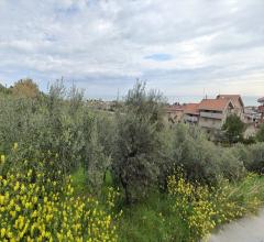 Appartamenti in Vendita - Terreno residenziale in vendita a silvi prima fascia collinare