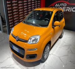 Auto - Fiat panda 1.2 benzina